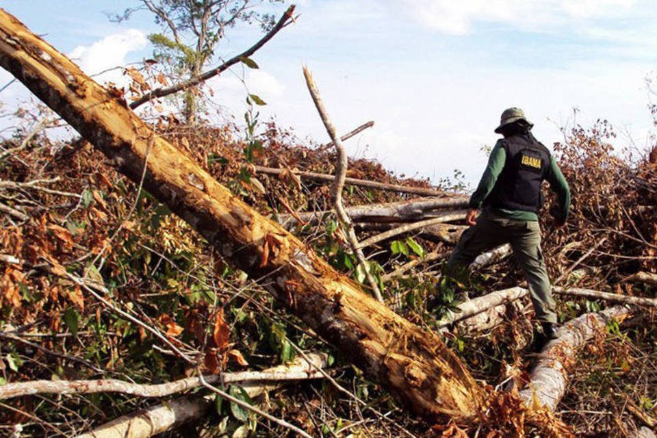 Desmatamento ilegal acabará em 10 anos, promete Dilma