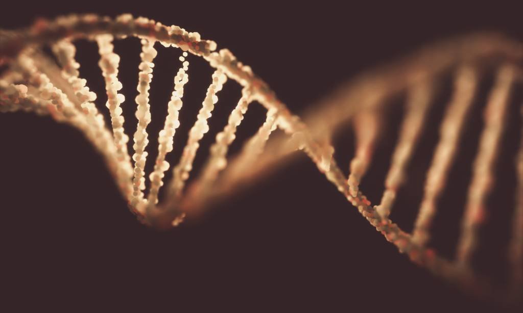 Ferramenta de IA do Google prevê riscos de mutações genéticas