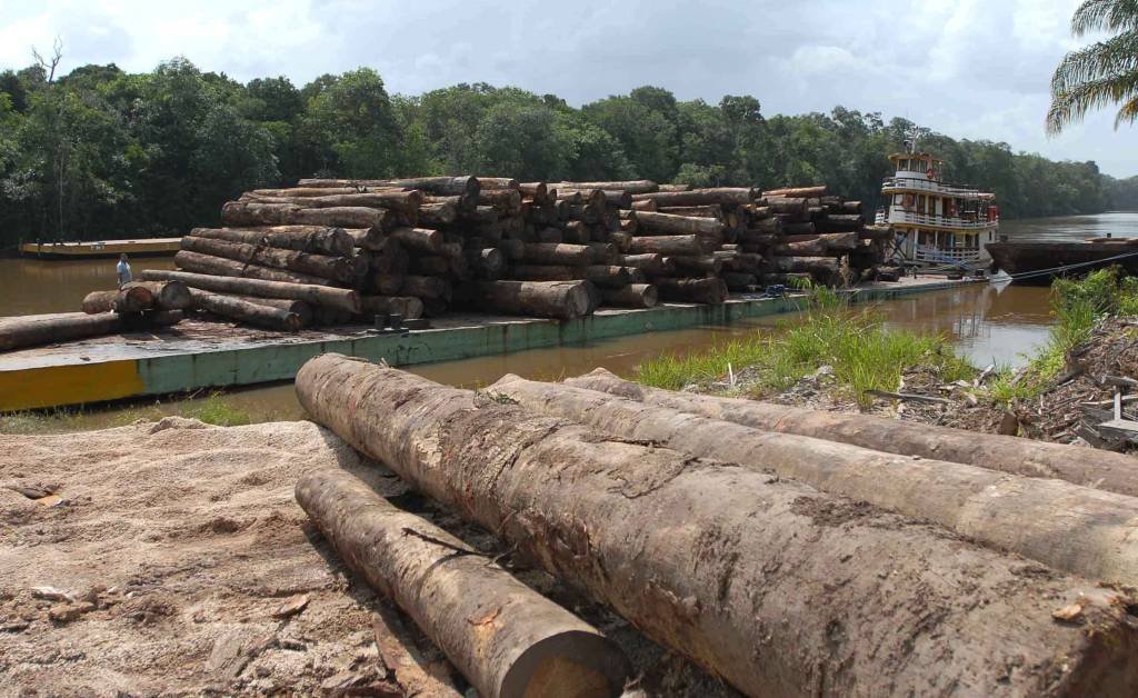 Amazônia: MP 910 entrega terras públicas para quadrilhas de grileiros (Wilson Dias/Agência Brasil)