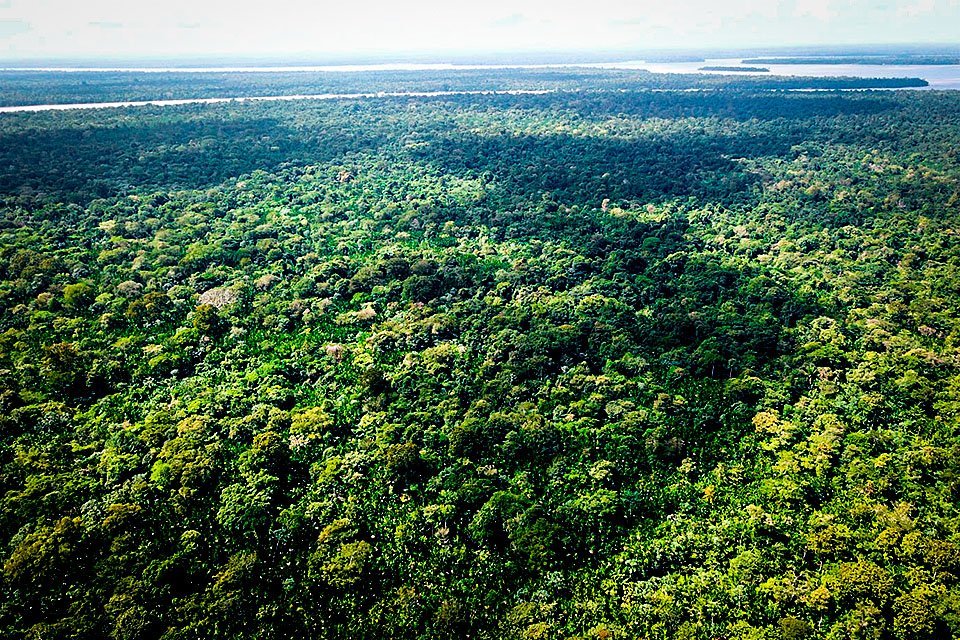 O mercado de exportações “compatíveis” com a floresta amazônica conta com 64 produtos e movimenta mais de R$ 1,5 bilhão anualmente (Ricardo Lima/Getty Images)
