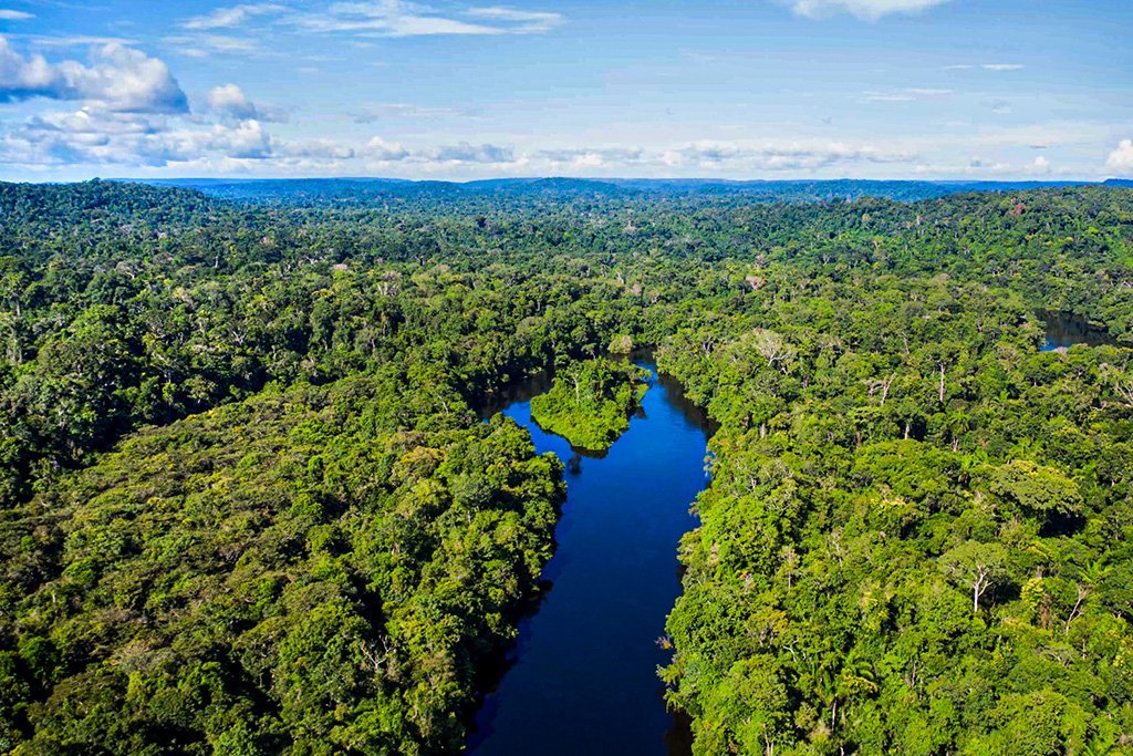 Paisagem do Pantanal mato-grossense: num mundo em que a economia verde é o motor dos avanços e conquistas de bem-estar da população, não existem razões para que o Brasil não assuma a dianteira das iniciativas mundiais (Secom-MT/Divulgação)