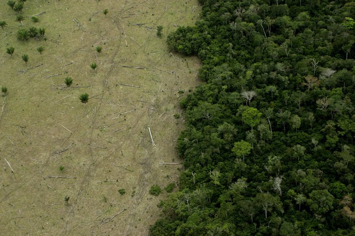 Desmatamento Amazonia Abril