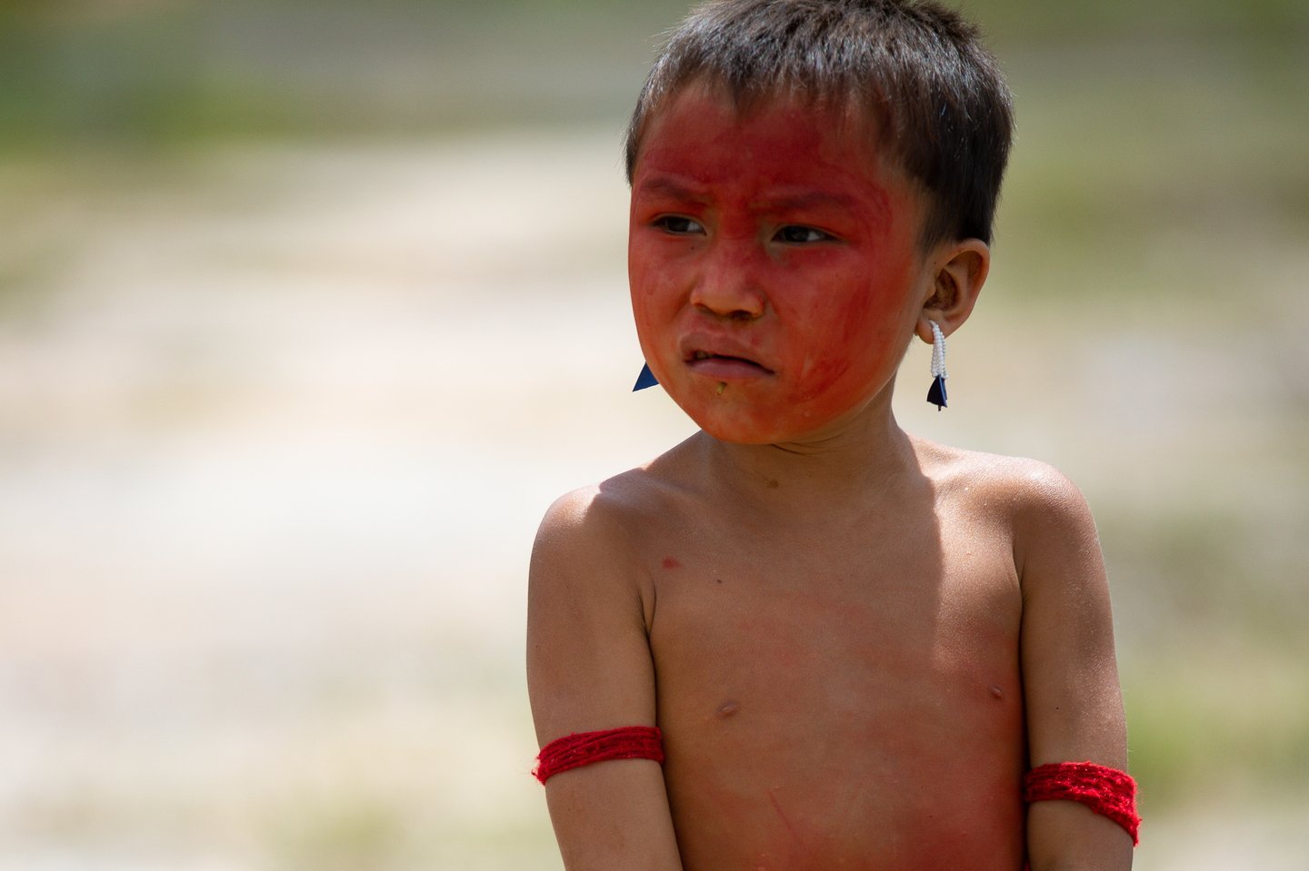 hero_Yanomami: os agentes e fatores que causaram o colapso socioeconômico na Terra Indígena