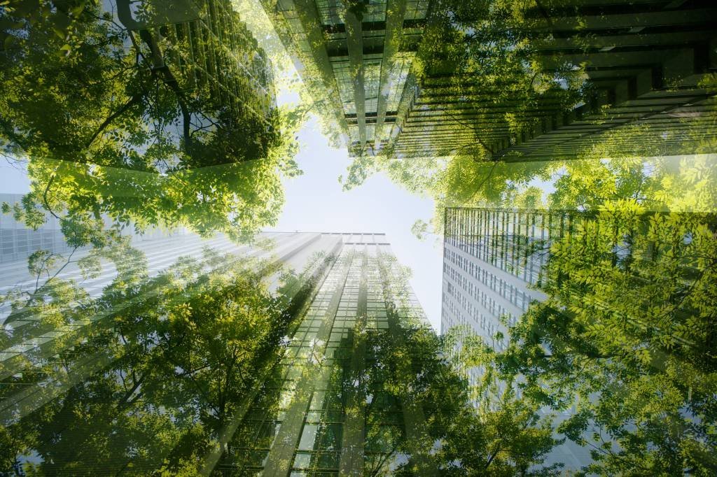 Transparência em ESG: como mostrar o impacto positivo do seu negócio