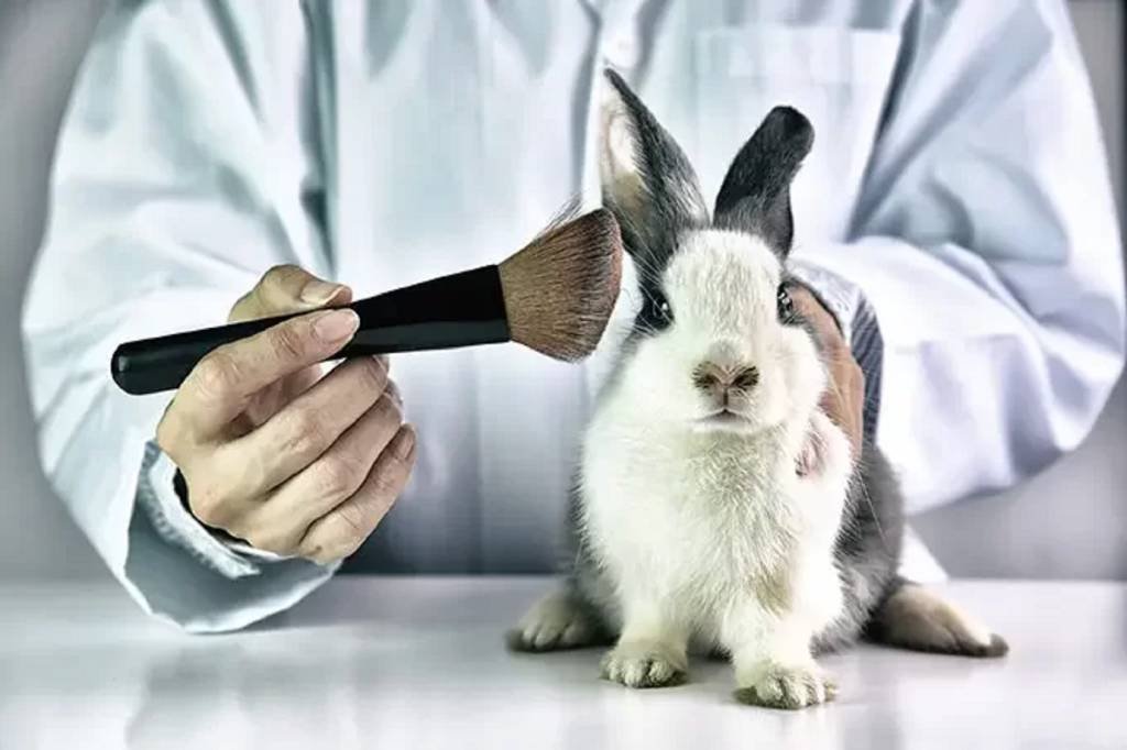 Importação de produtos testados em animais pode ser proibida no Brasil