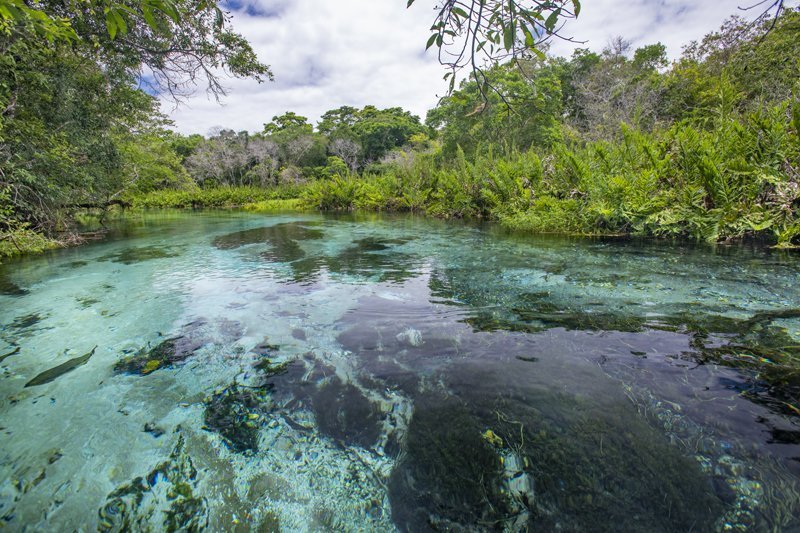 Pantanal: conheça o principal destino de turismo ecológico do país