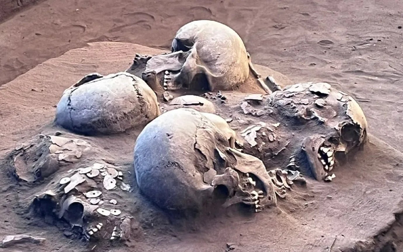 Material foi encontrado em sítio de arquelógico de Serranópolis