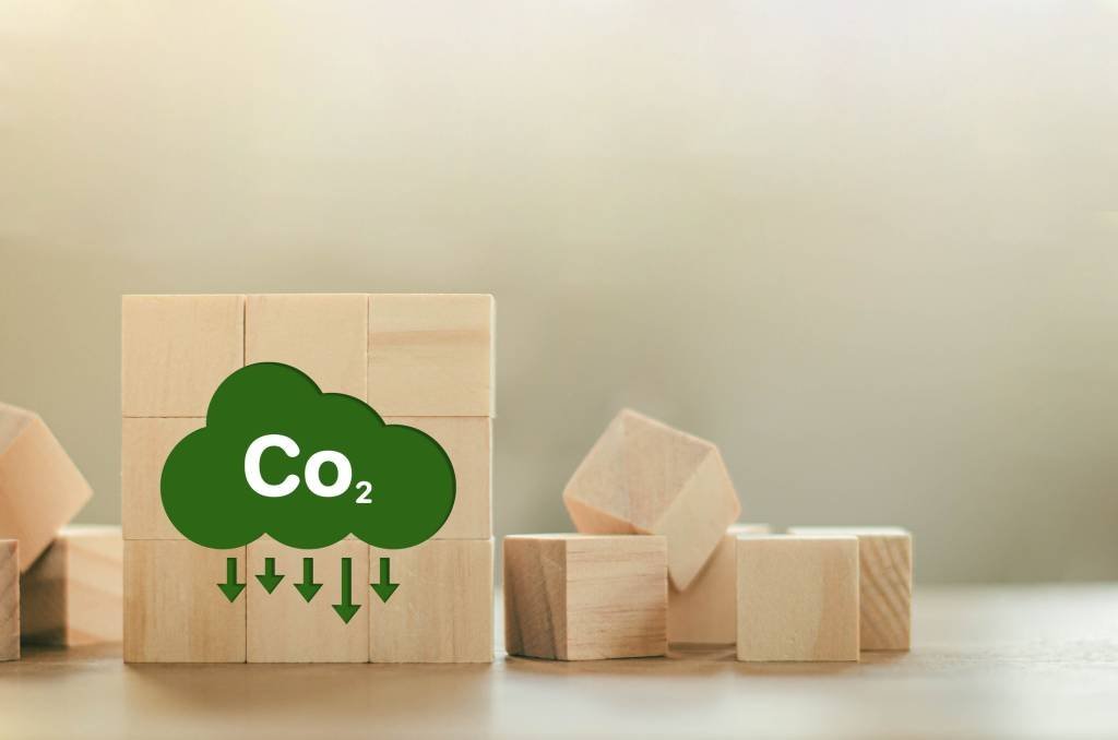 Gestão Sustentável: a COP28 e o mercado de carbono