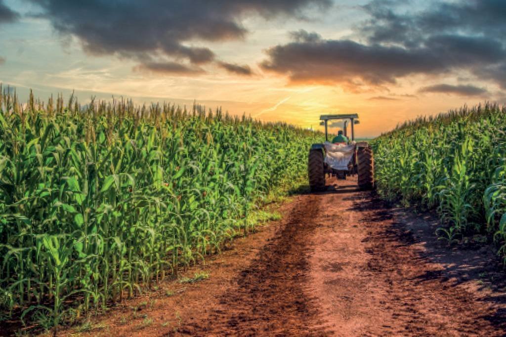 Da espiga ao combustível: o salto do etanol de milho no Brasil