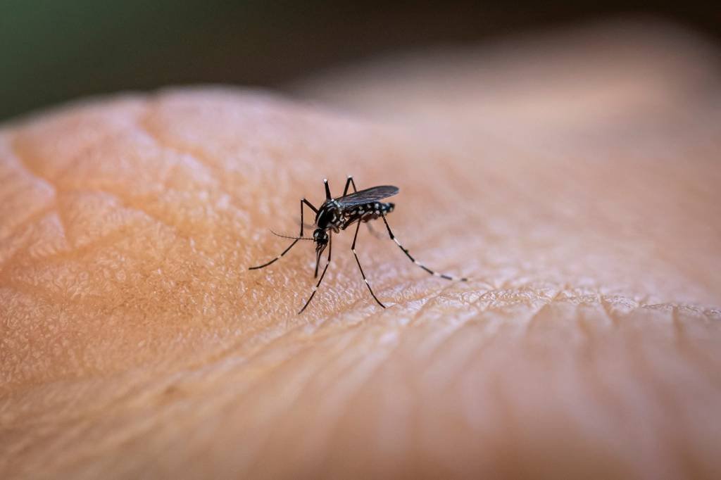 Saúde amplia vacinação contra a dengue para mais 154 municípios