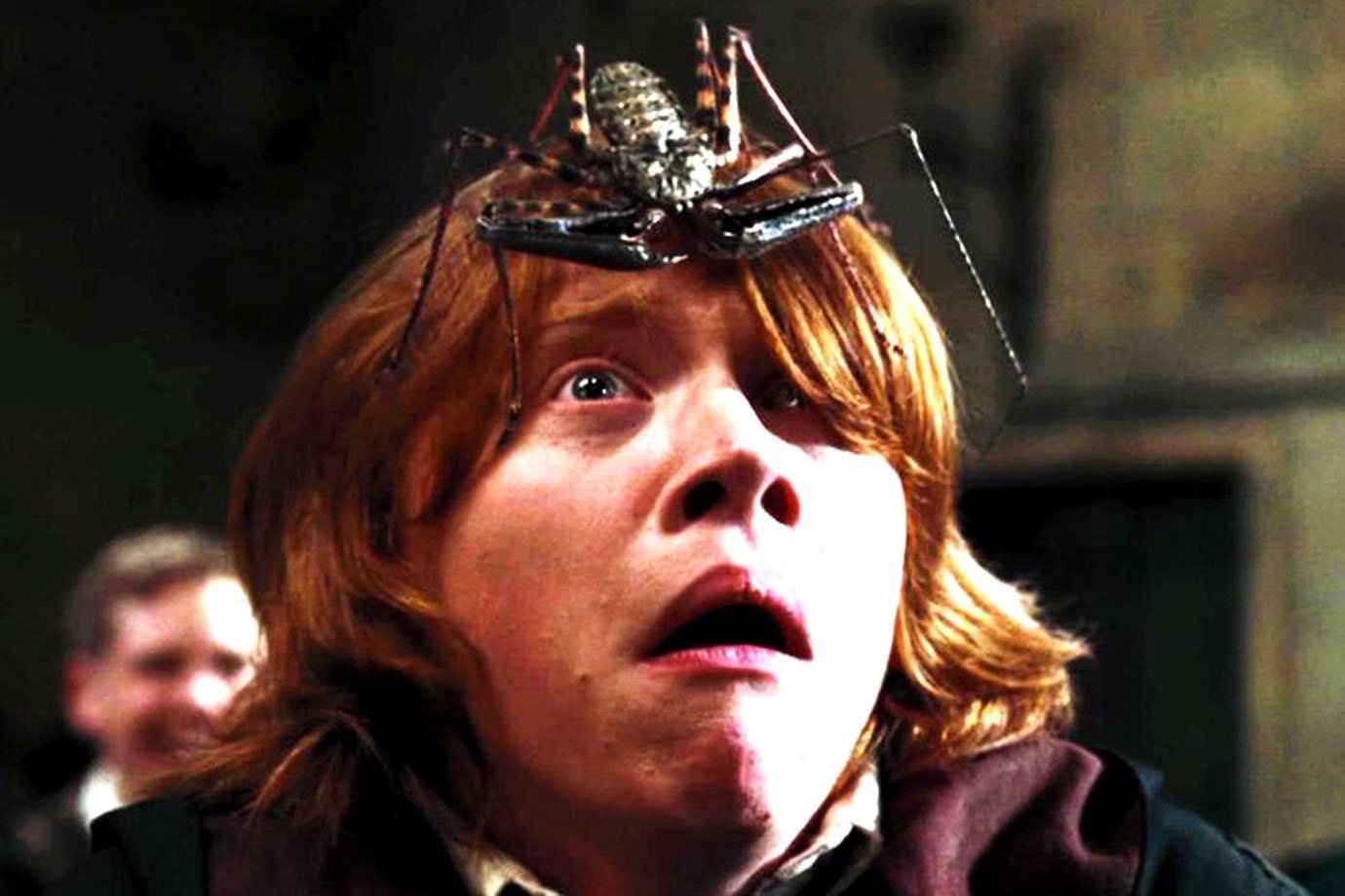Rony Weasley na saga Harry Potter
