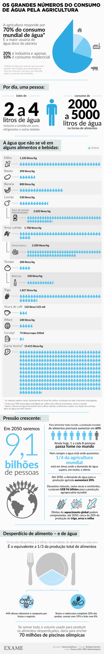 Infográfico sobre o consumo de água na agricultura.