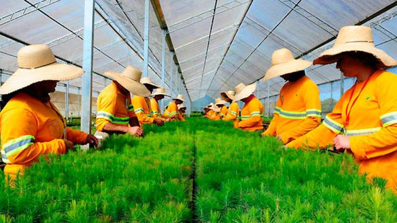 Klabin: ainda não está definido se e quando o tema retornará à pauta da companhia e dos sócios (Germano Luders/Exame)