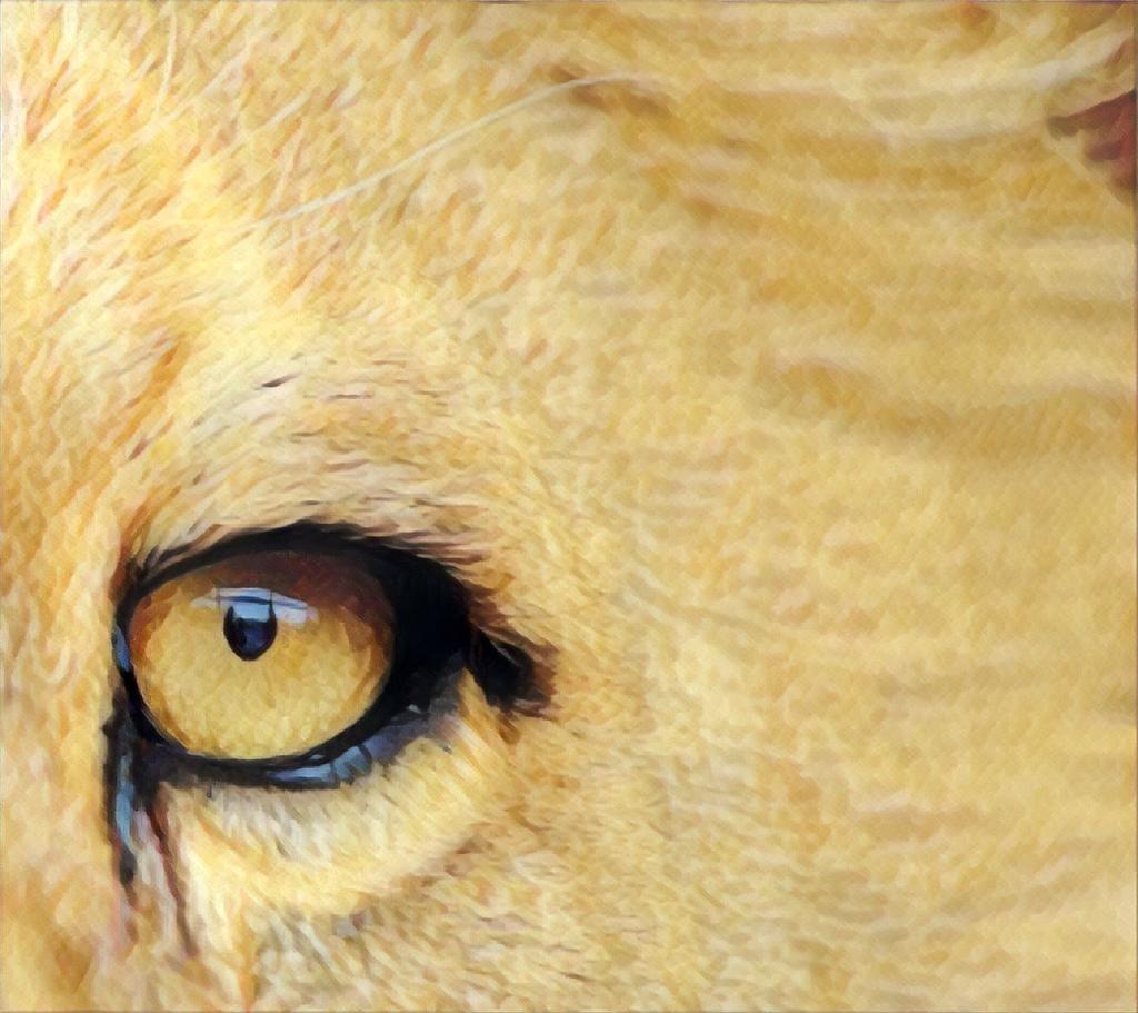 Empresas de serviços devem sofrer impacto importante com novas regras do Imposto de Renda (Buellon/Thinkstock)