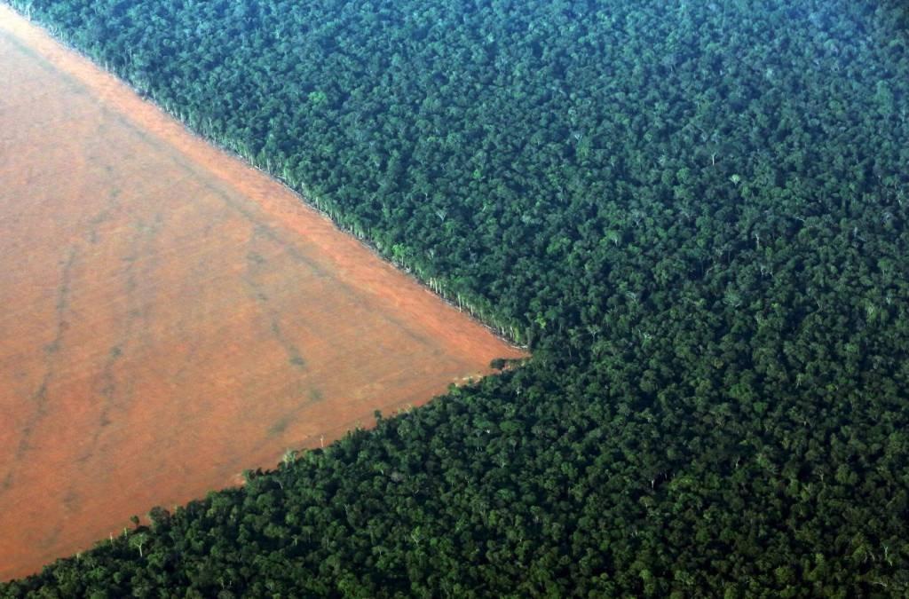 Desmatamento na floresta amazônica, em Mato Grosso: Brasil é principal mercado da Pachama (Paulo Whitaker/Reuters)