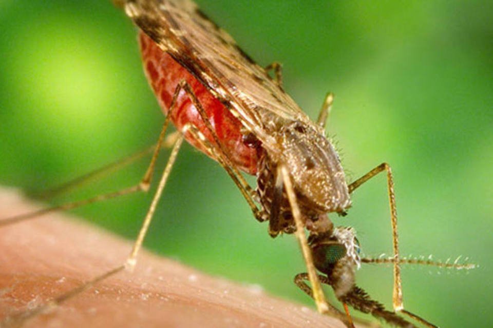 Ijesztő gyorsasággal terjed a gyógyszerekre rezisztens malária