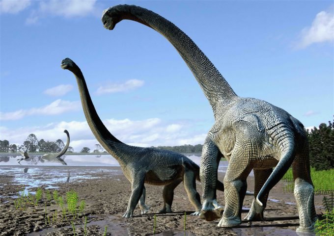 Los científicos encuentran una prueba definitiva de la extinción de los dinosaurios por Meteor