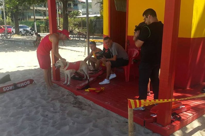 Ice em um dia de trabalho em Itajaí