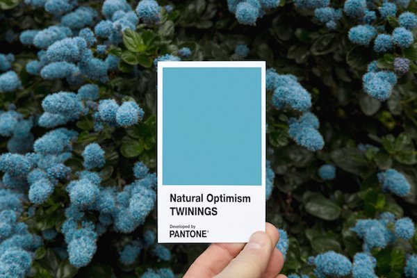 Nova cor Pantone, criada pela marca Twinings