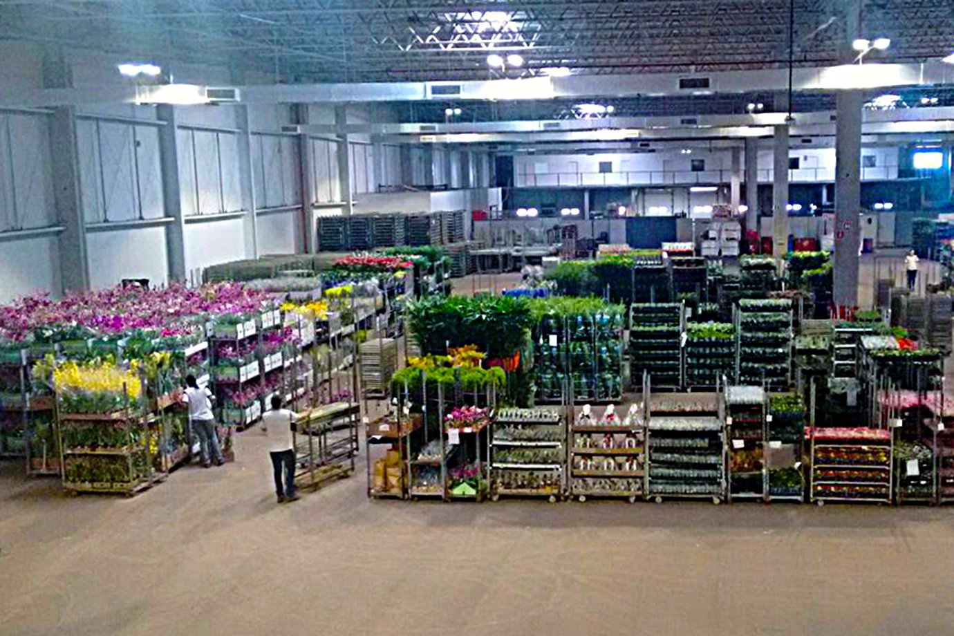 Centro de Distribuição de flores do Grupo Pão de Açúcar em Holambra