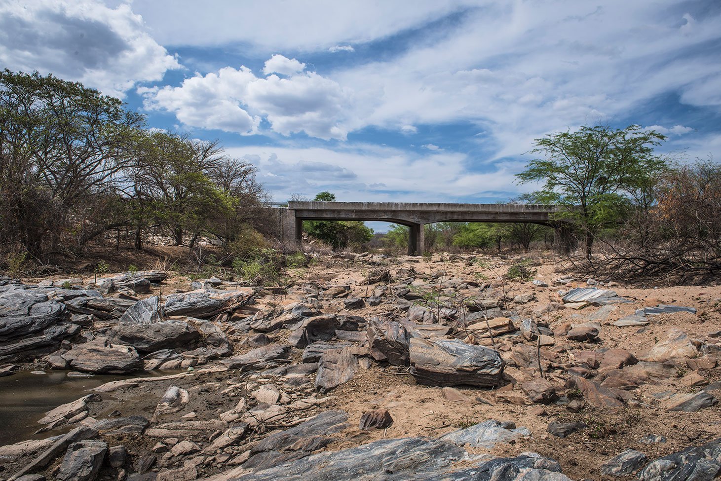 Ponte sobre o Riacho Mel, Sertânia, Pernambuco; cidade está no meio do caminho do eixo leste da transposição do rio São Francisco