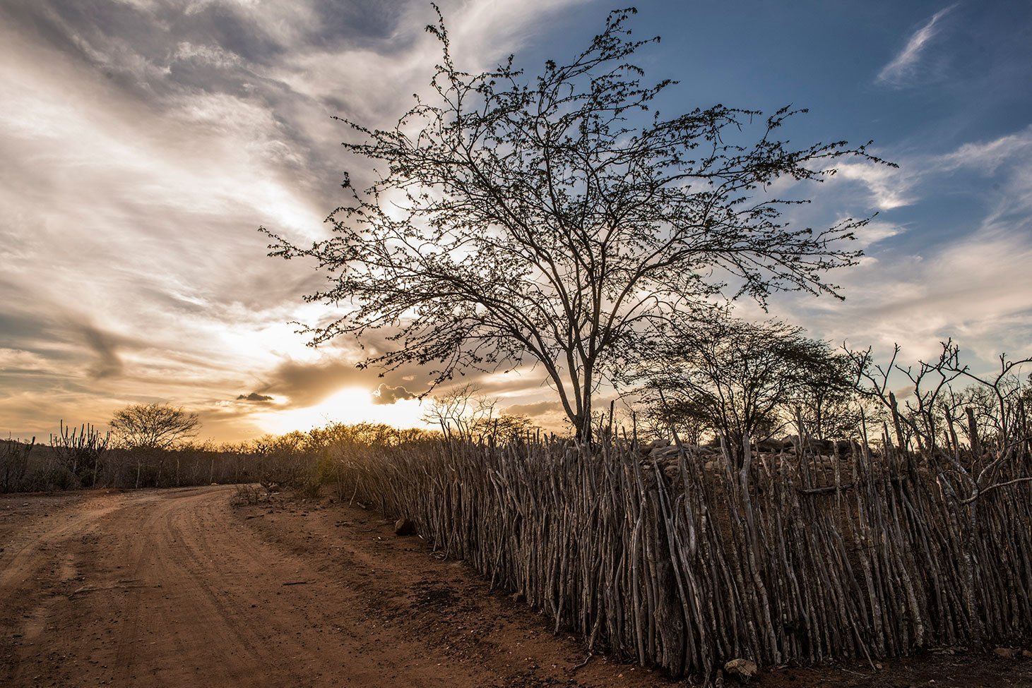 Zona rural de Boqueirão, Paraíba; a cidade abriga um dos principais reservatórios da Paraíba, o açude Epitácio Pessoa, que está à beira do colapso e deve receber as águas da transposição em abril deste ano