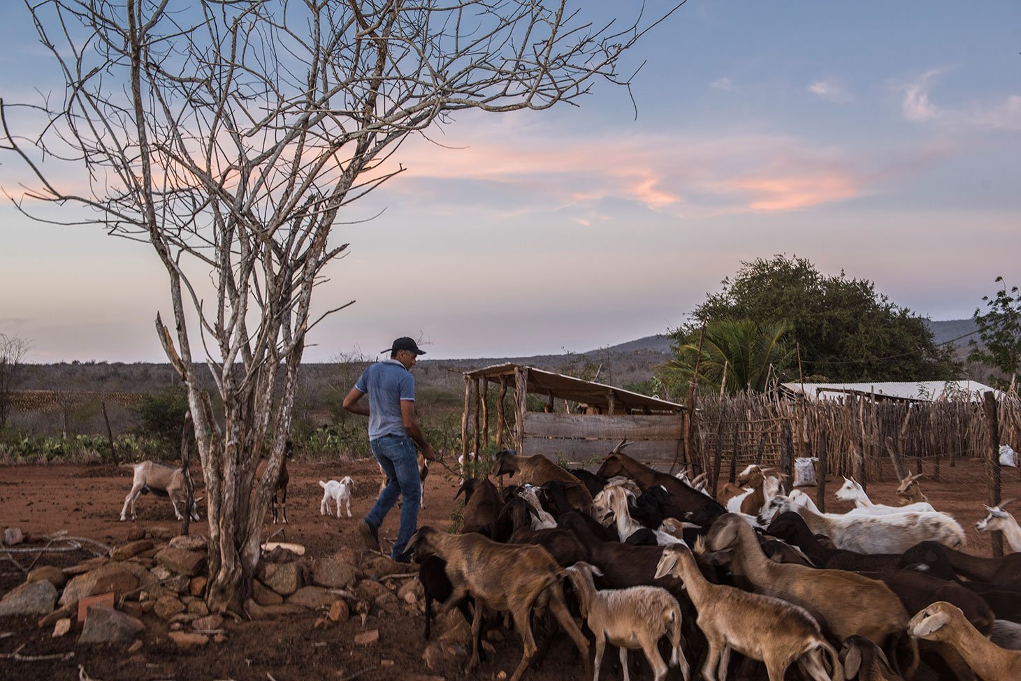 José Aldo, criador de animais na zona rural de Boqueirão, Paraíba; reservatório de Boqueirão abastece Campinha Grande e outros 18 municípios paraibanos