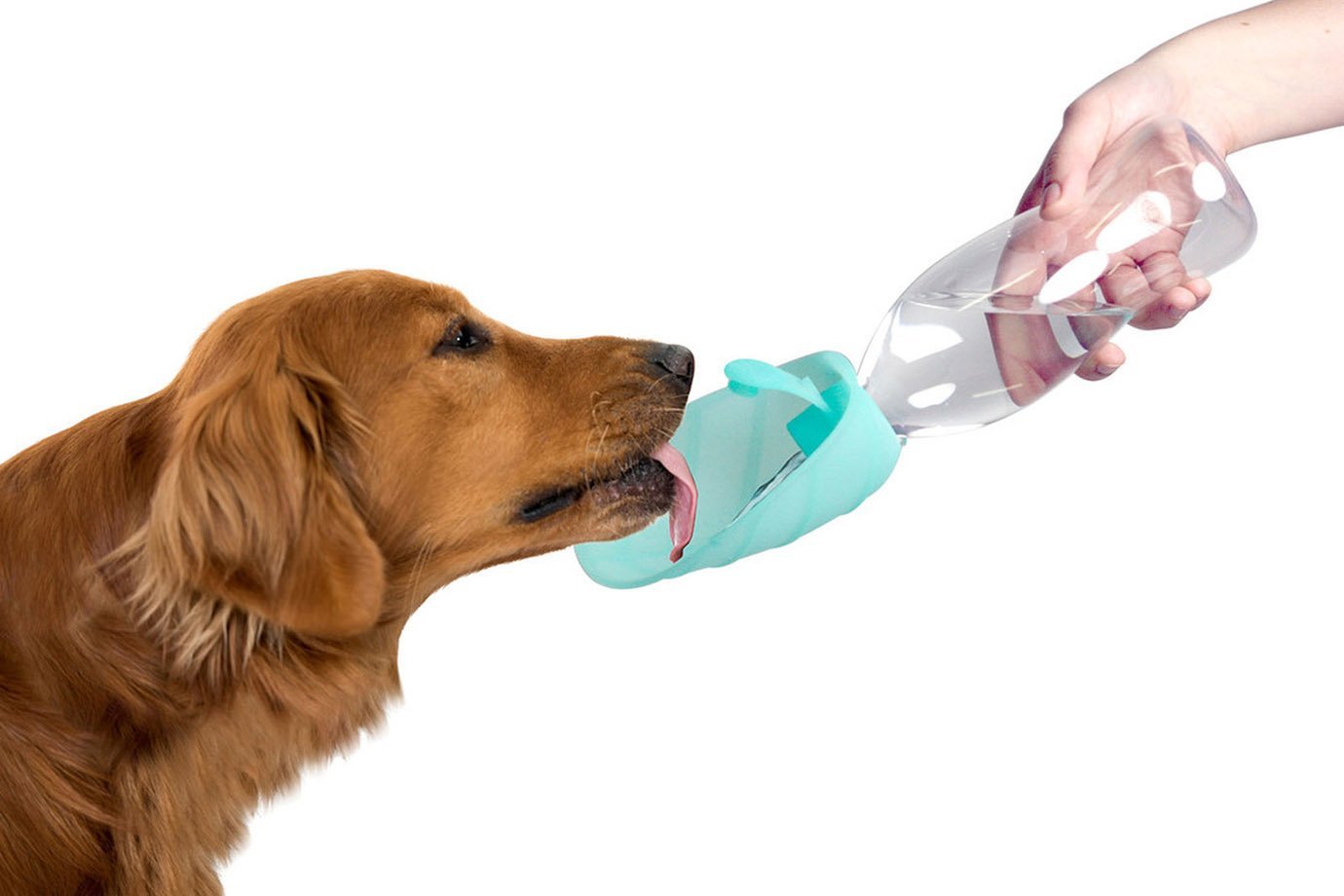 Leaf, dispenser de água para cachorros