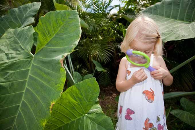 Menina brincando na natureza; criança na floresta; plantas