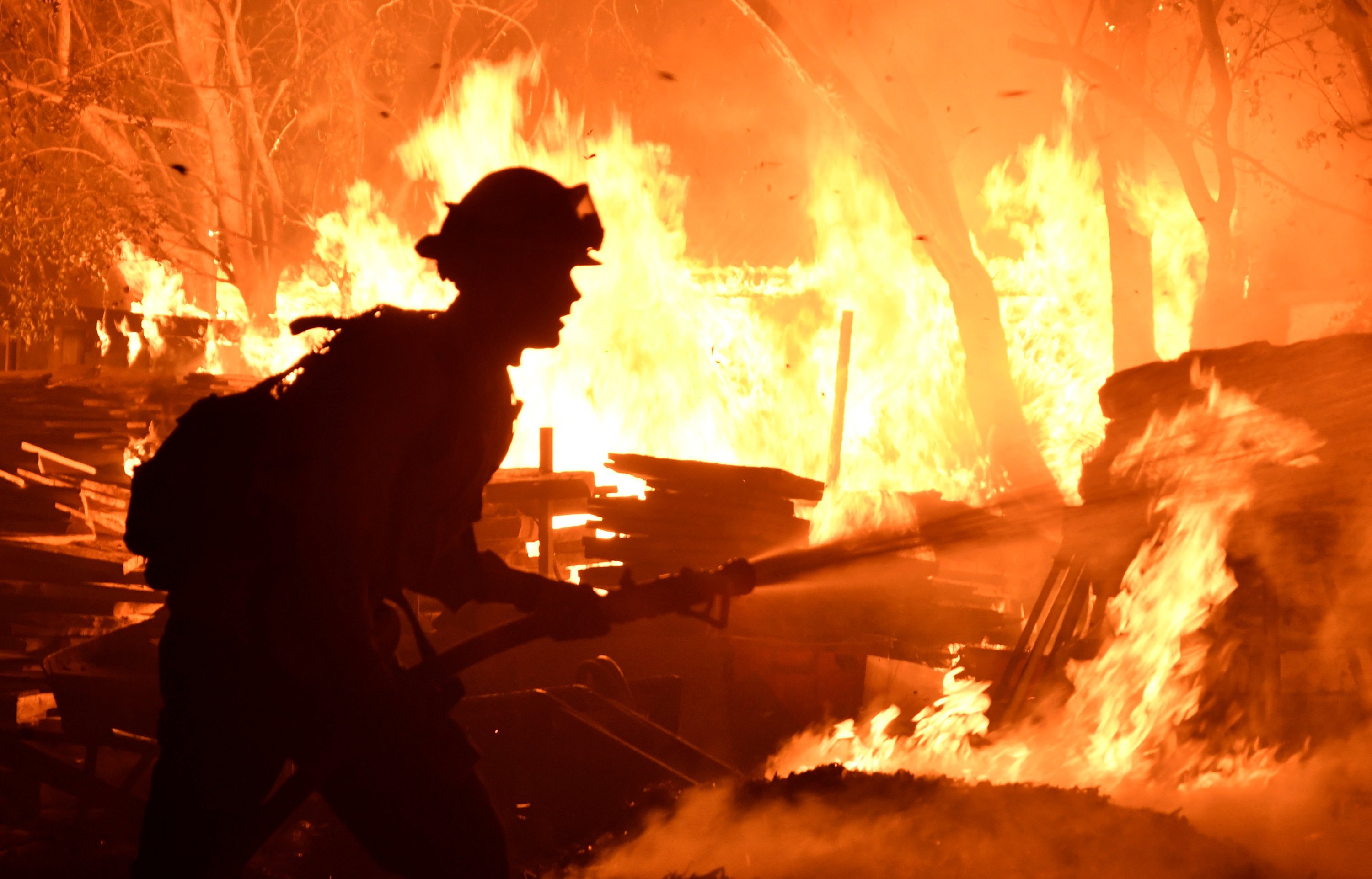 Tuíte de Trump sobre incêndio mortal na Califórnia “incendeia” internet |  Exame
