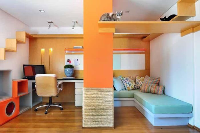 Decoração de casa para pet: projeto de Thaisa Camargo