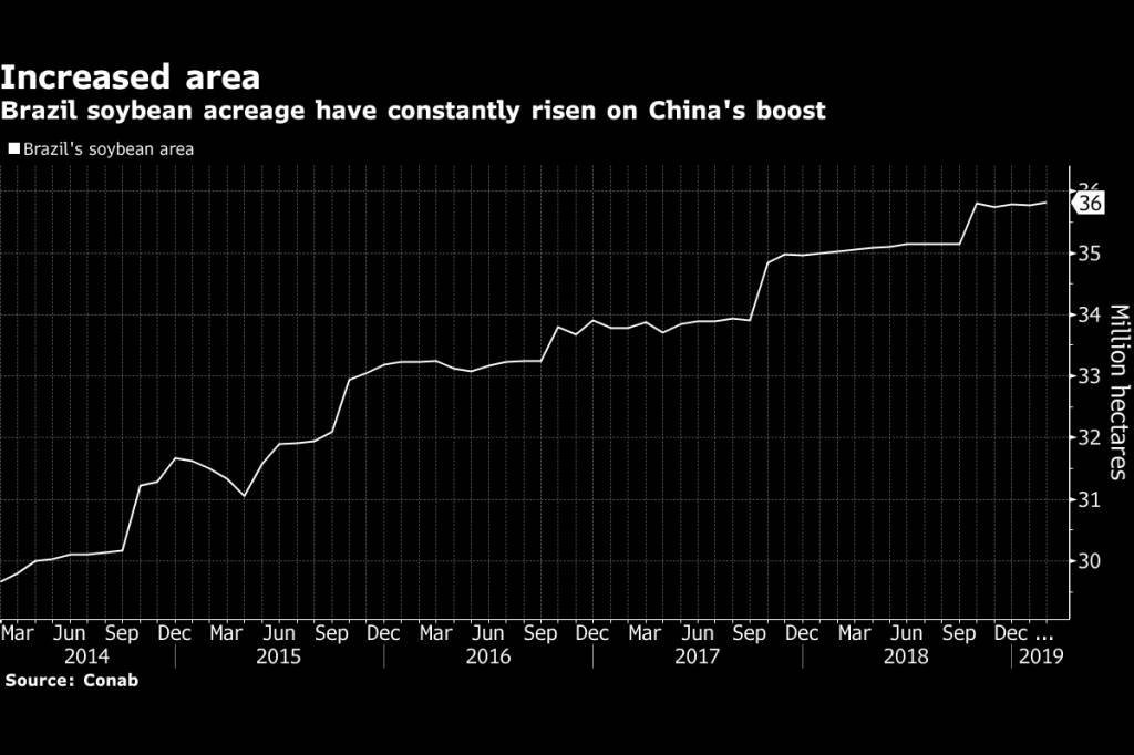 Área cultivada de soja no Brasil, impulsionada pela demanda chinesa