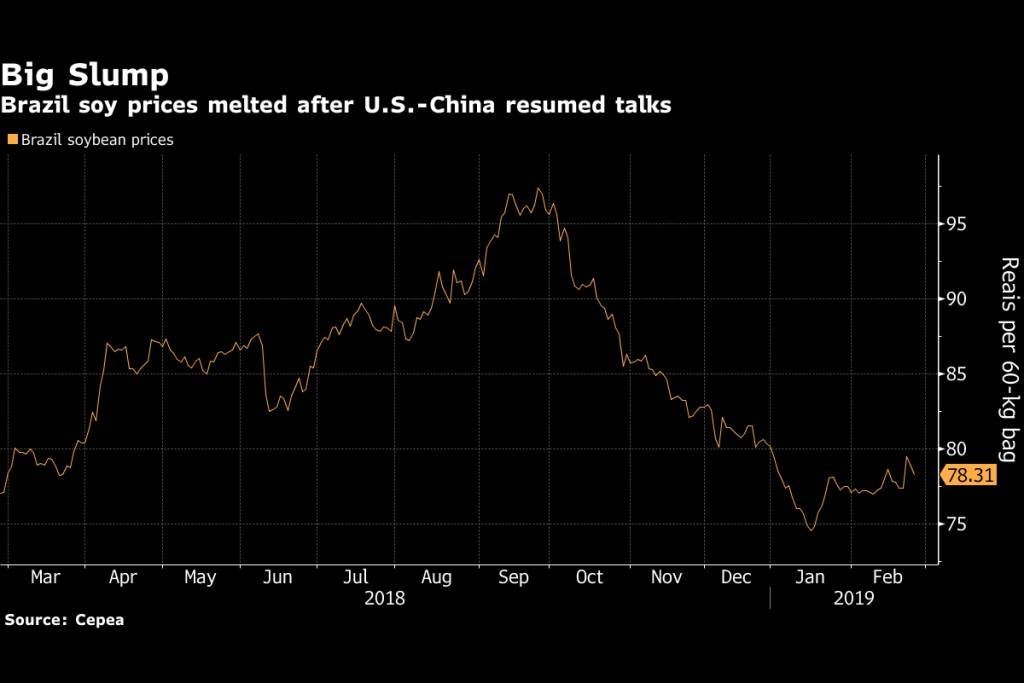 Os preços de soja no Brasil despencaram após a retomada das conversas entre EUA e China
