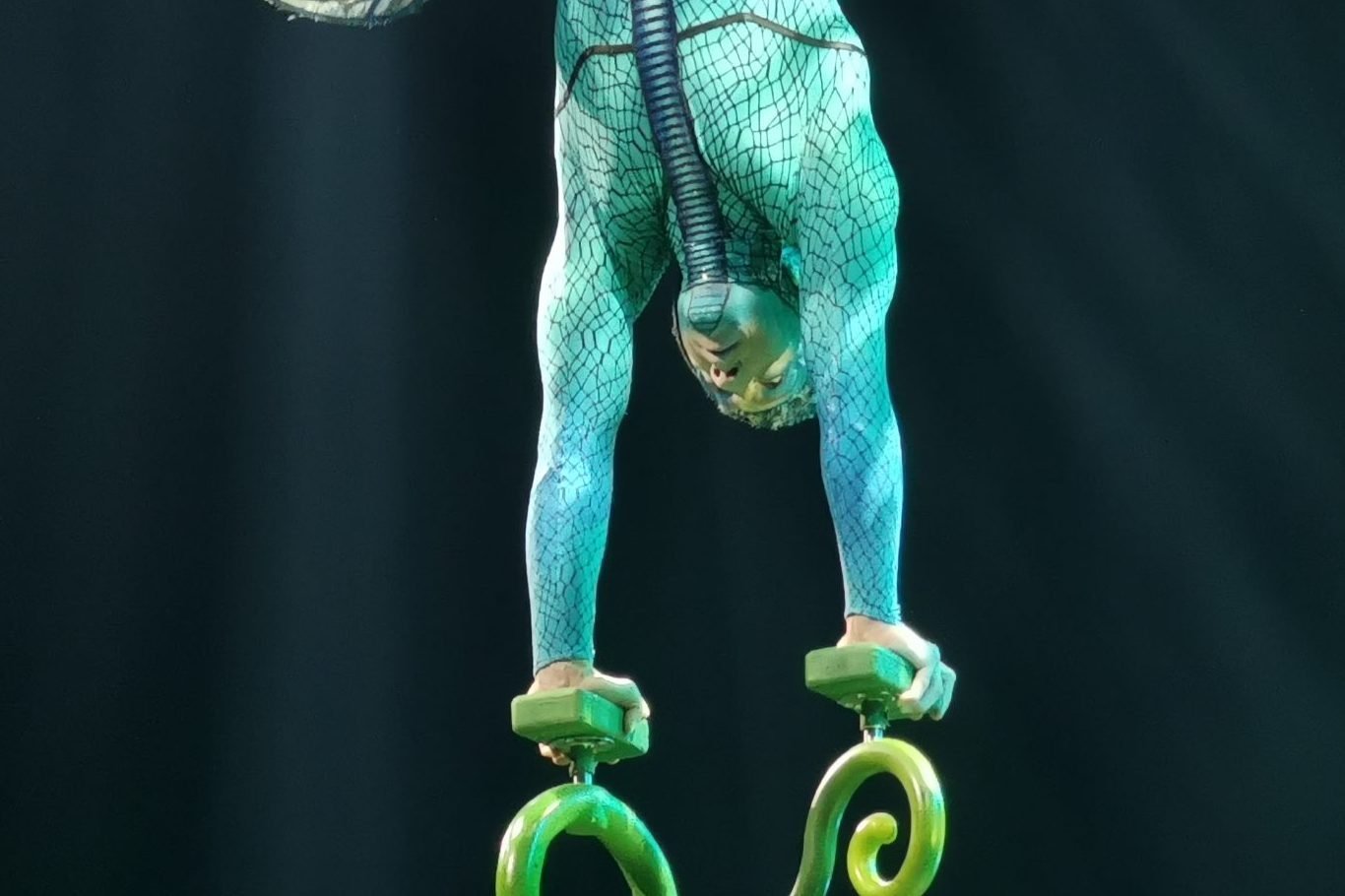 Apresentação Ovo Cirque du Soleil