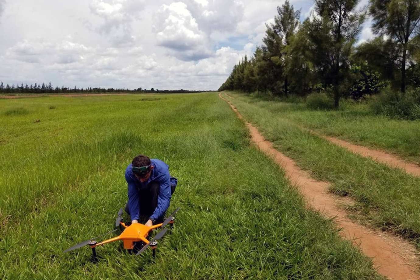 Drone da SeeTree em plantação