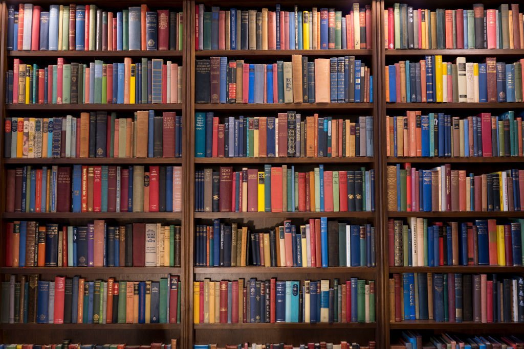 bookshelf zoom background