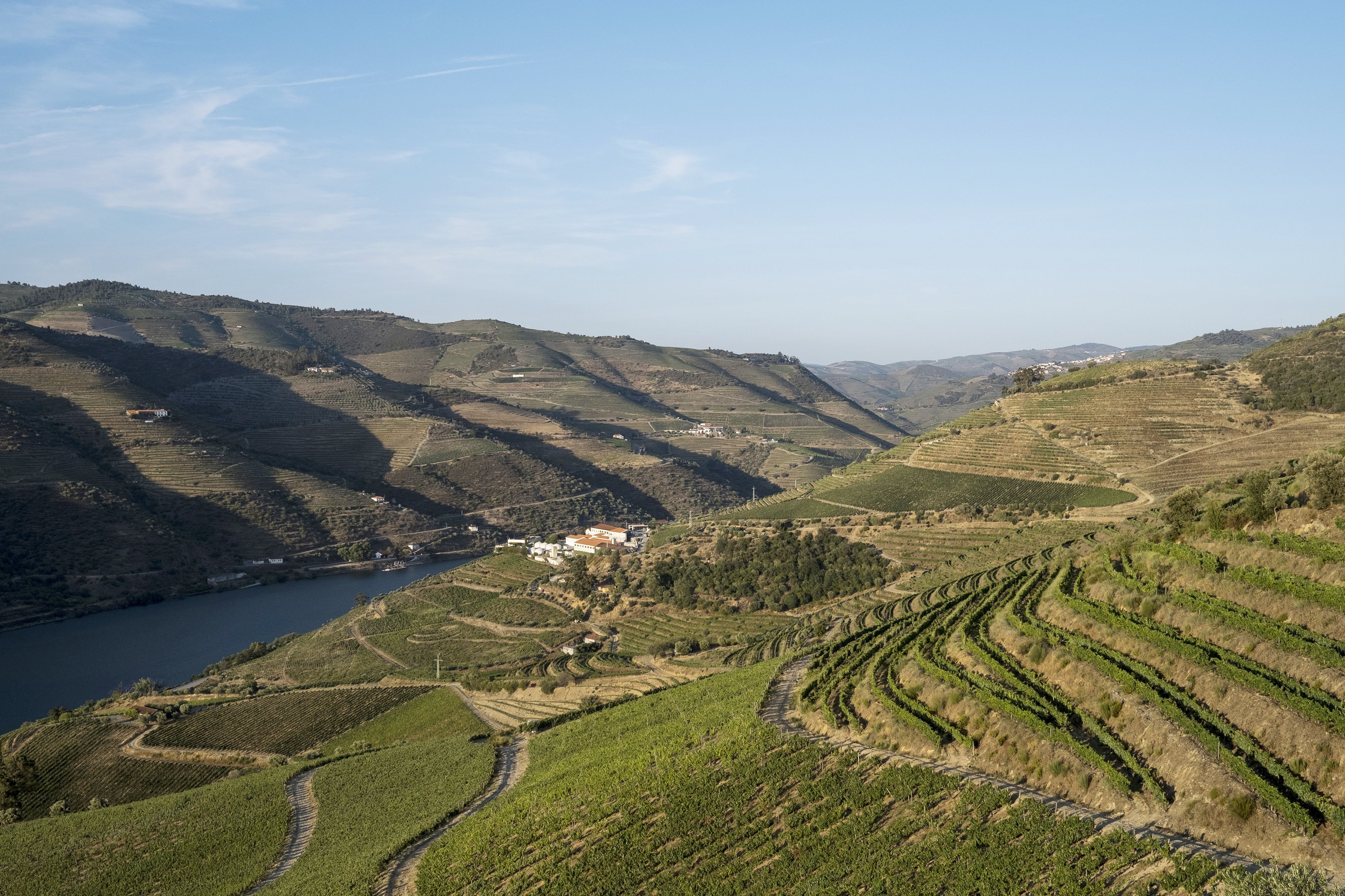 Vinhedos no Vale do Douro, em Tabuaço, Portugal