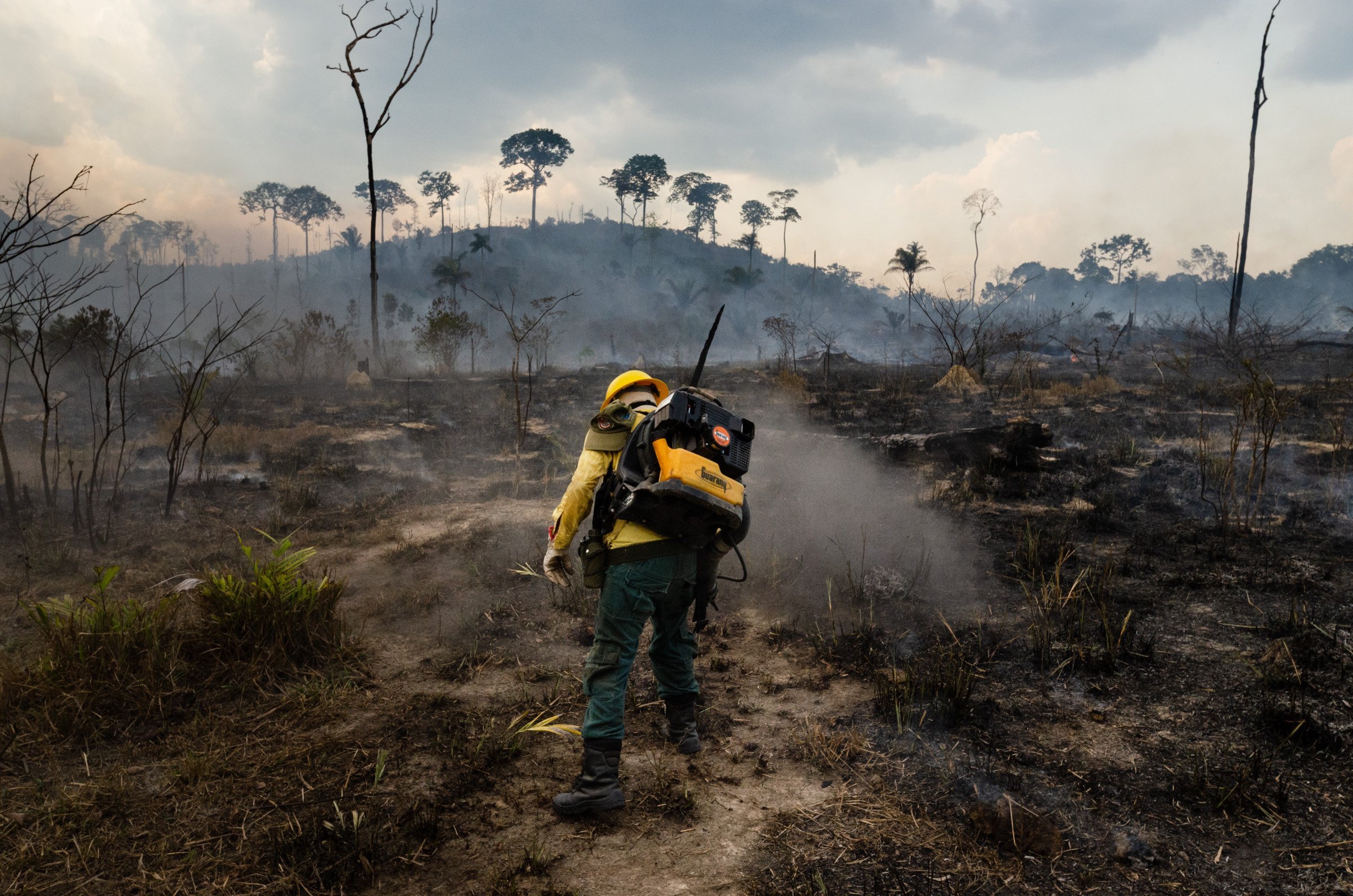 Pantanal registra 334% mais focos de queimadas em 2019 | Exame