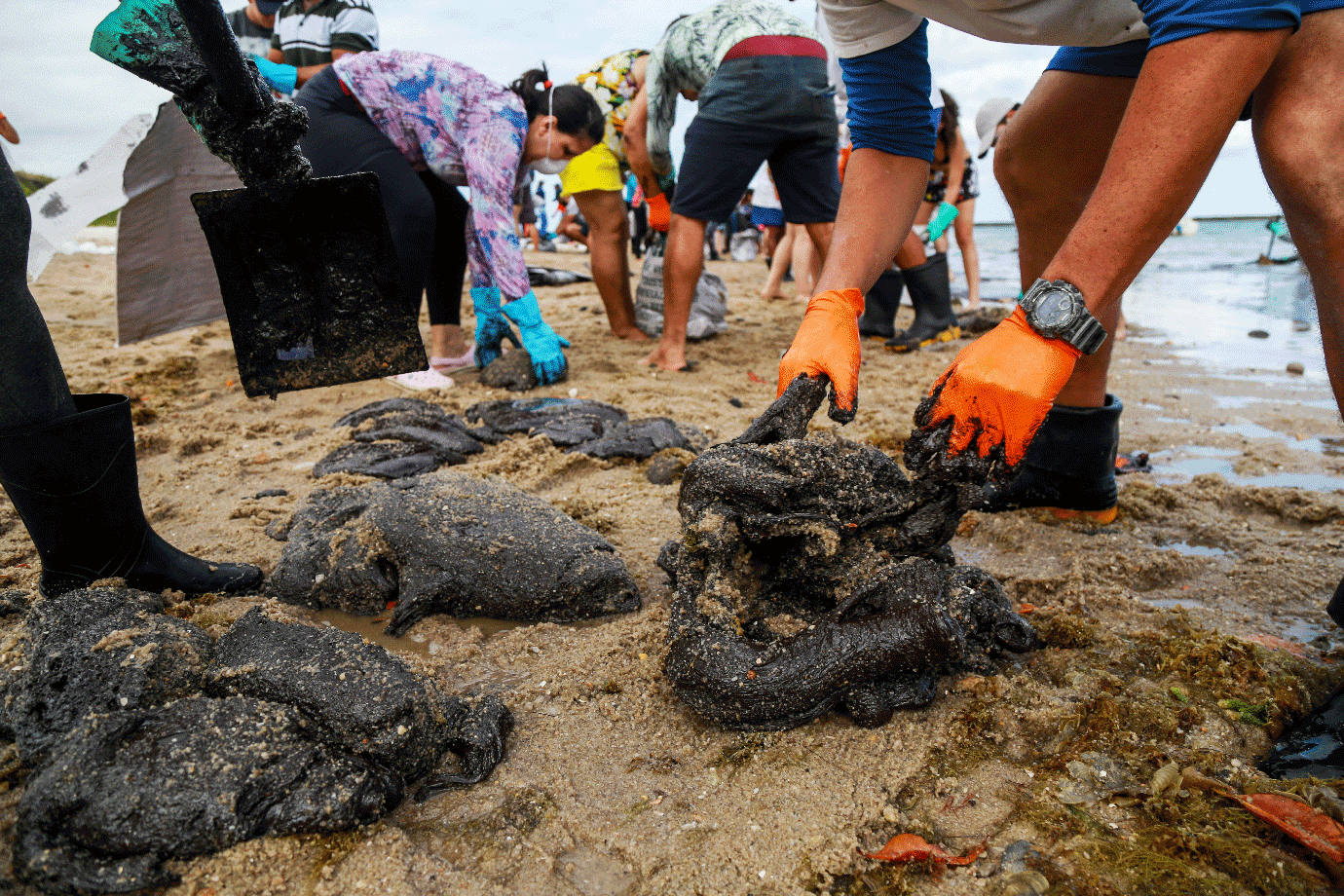 Pessoas removem óleo da praia de Suape, em Cabo de Santo Agostinho