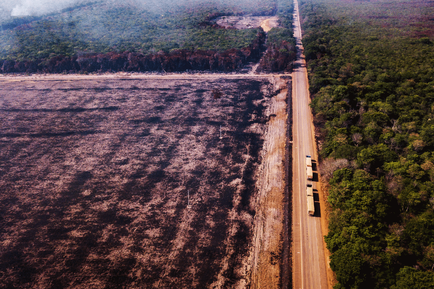 Desmatamento/Incêndios na Amazônia