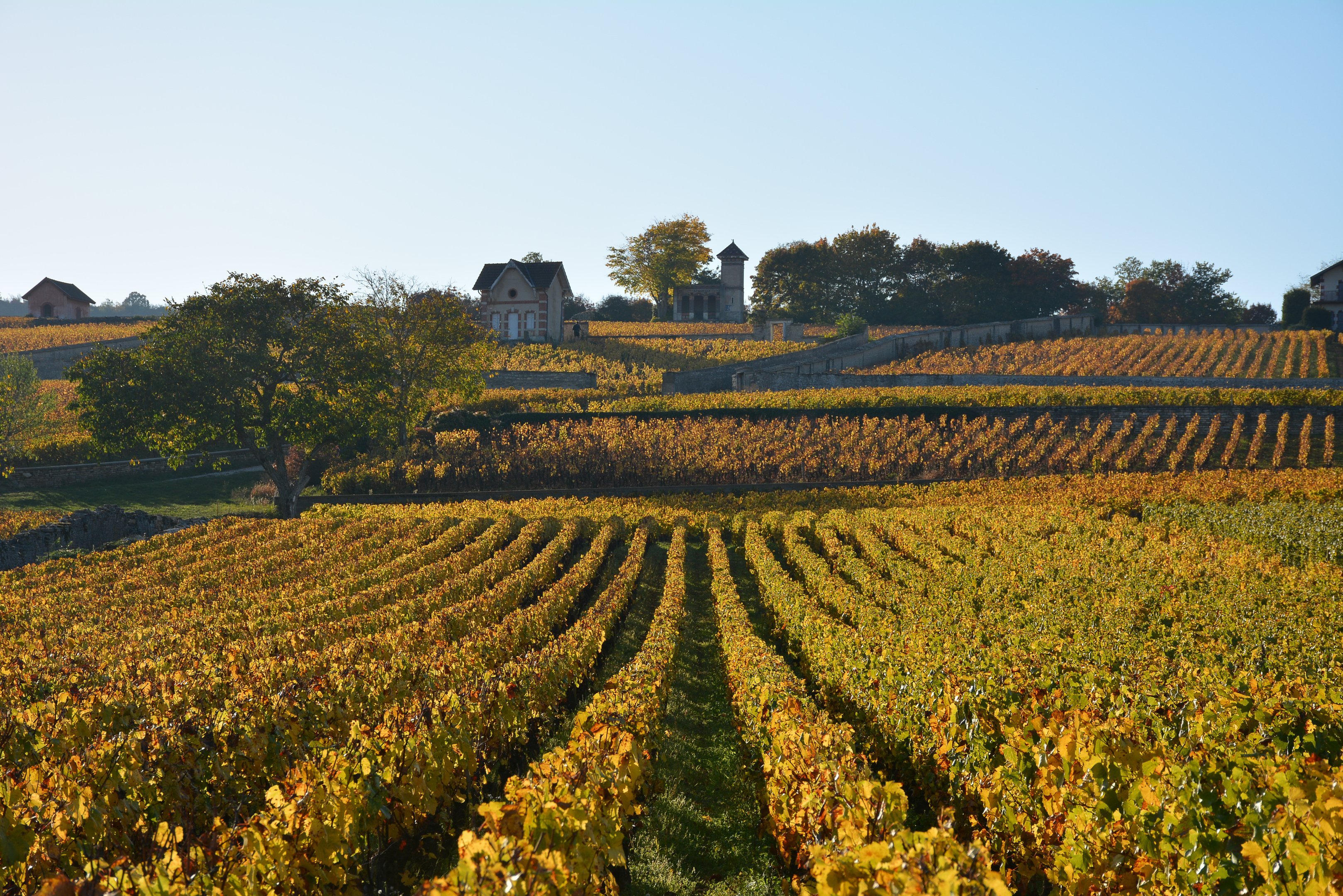 Região de Champagne