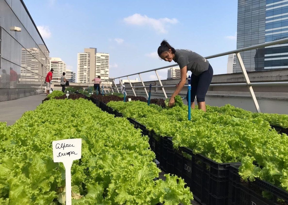 Edileusa Andrade, da Plant Fazendas Urbanas