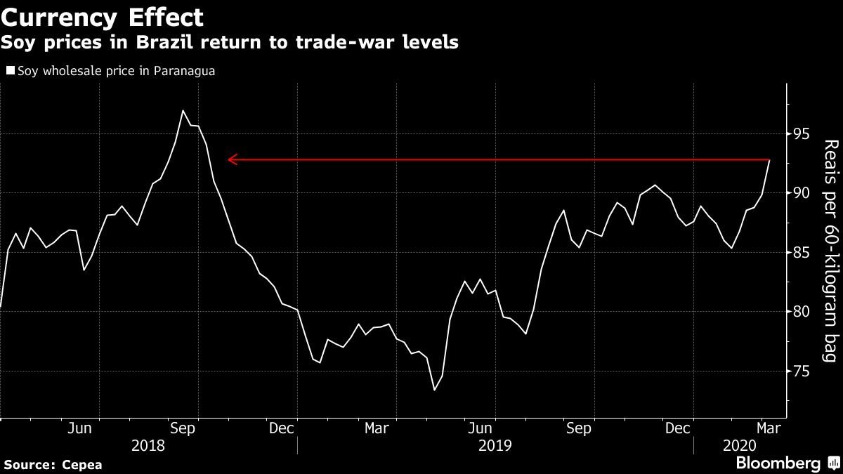 Preços da soja no Brasil voltam ao nível atingido durante guerra tarifária