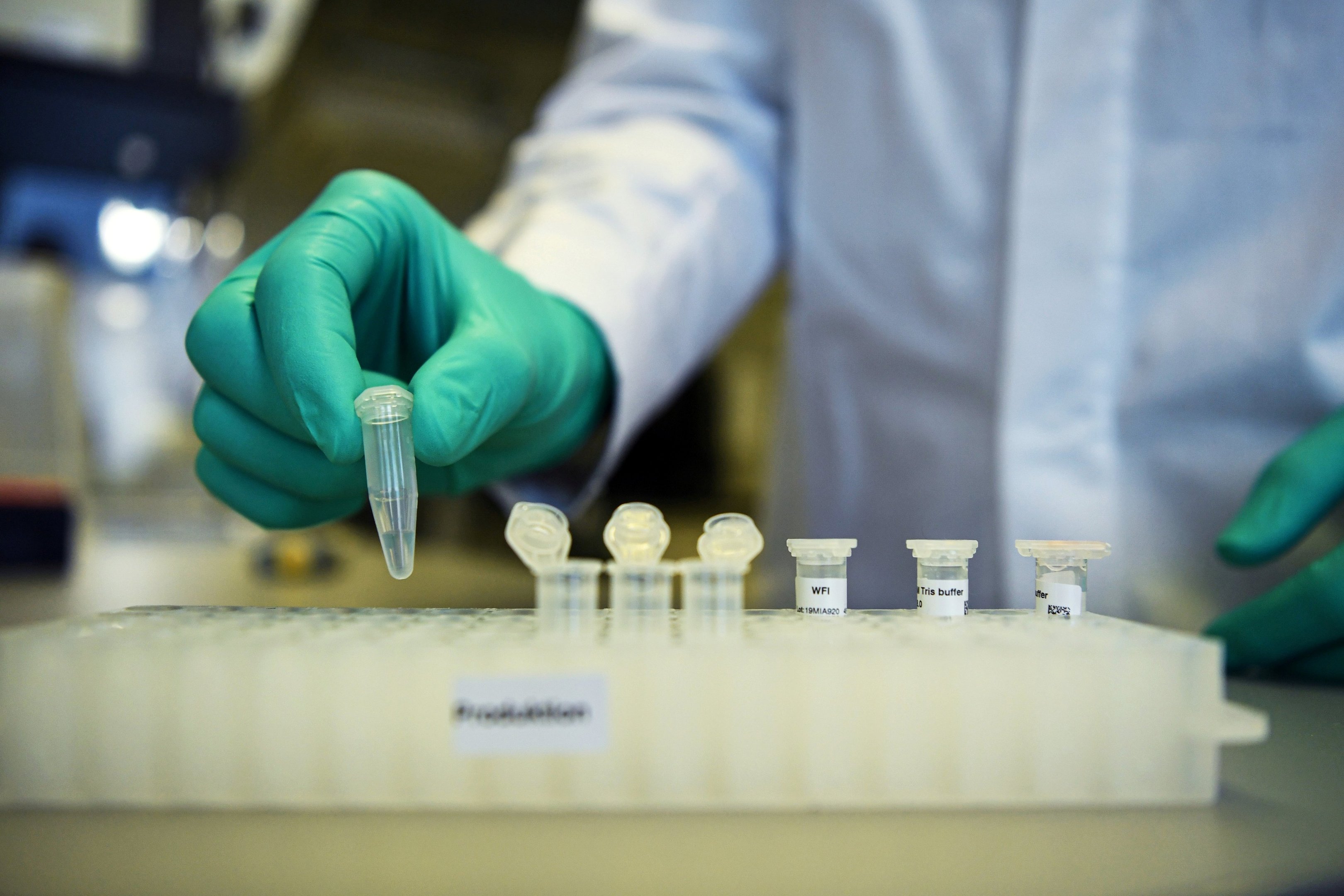Pesquisas científicas; teste em laboratório; vacinas para coronavírus