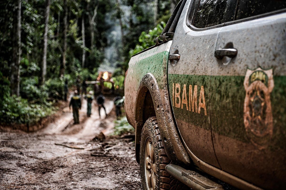 Operação do Ibama na Amazônia - desmatamento