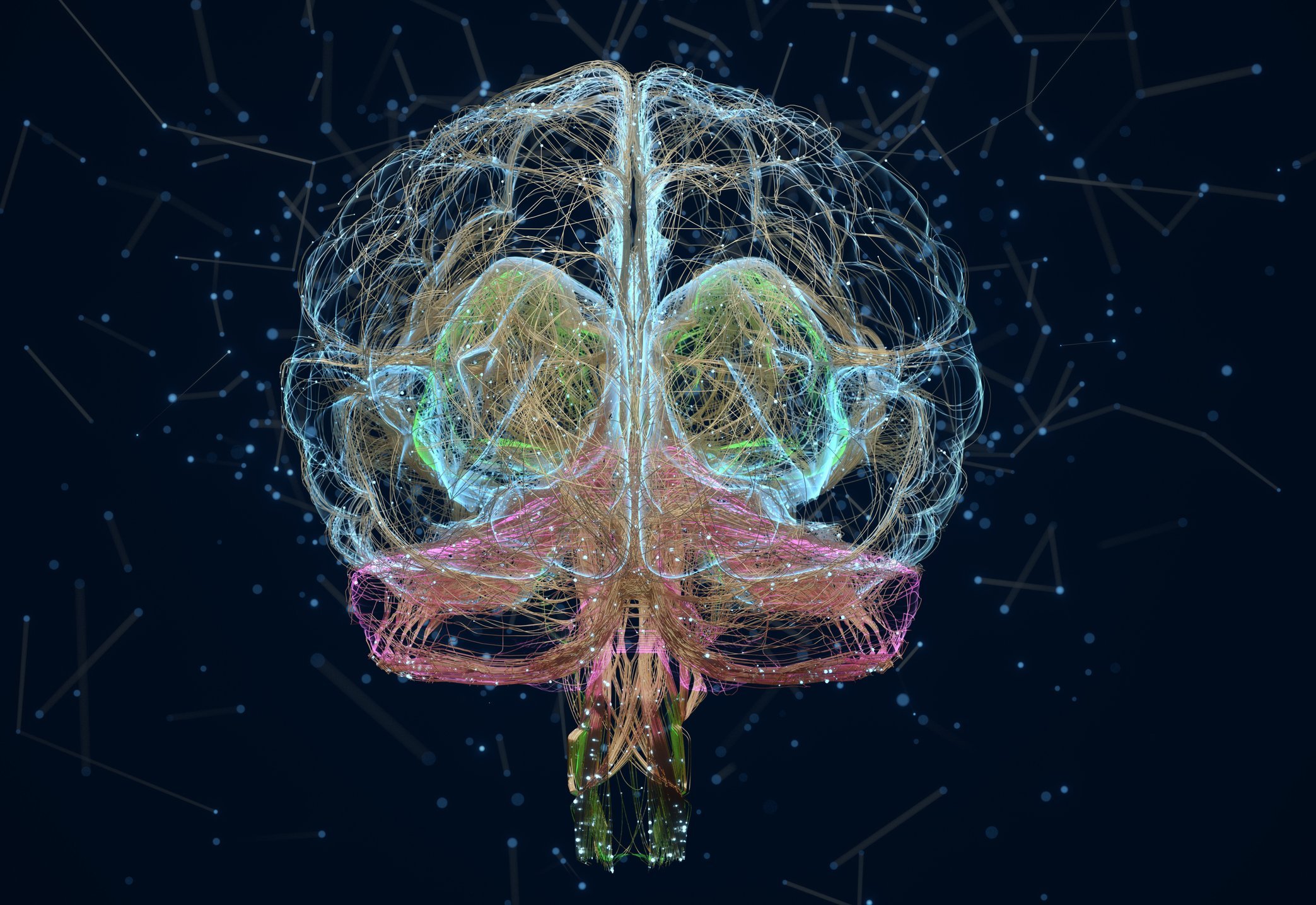 Ameba "comedora de cérebro" gera preocupação nos EUA | Exame