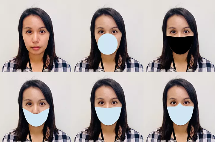 Imagens de exemplo usadas pelo NIST para avaliar a precisão de vários algoritmos de reconhecimento facial