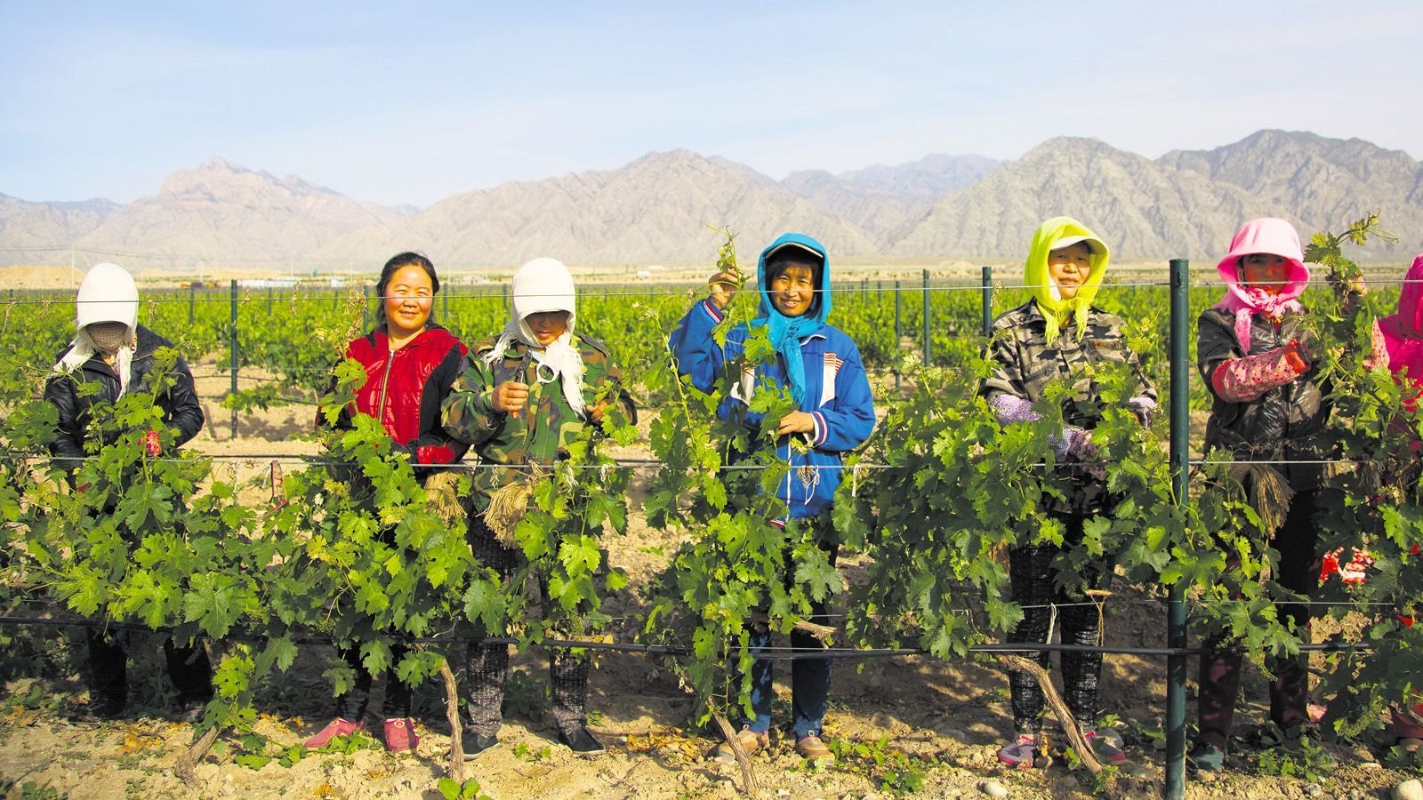 Silver Heights, fundada em 2007 pela chinesa Emma Gao Yun, vinicultora treinada em Bordeaux