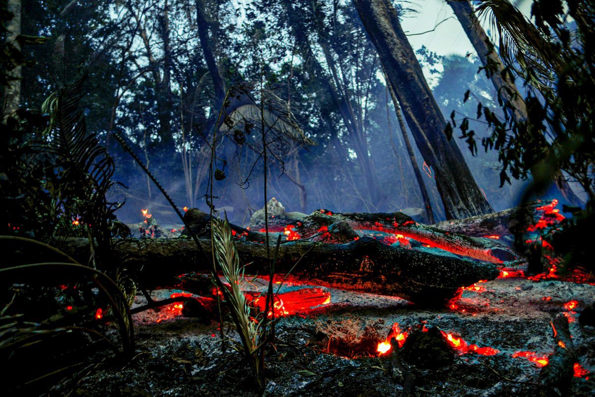 Exrcito fracassou na Amaznia, diz Observatrio do Clima