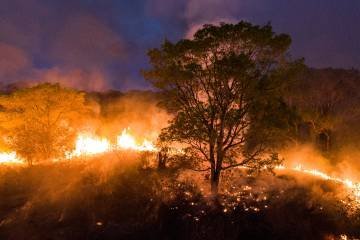 incendios-pantanal.jpg?quality=70&strip=all&resize=360,240&profile=RESIZE_710x